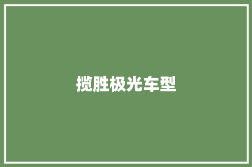 揽胜极光车型