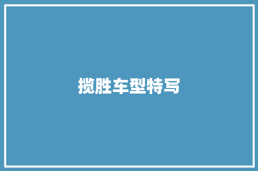 揽胜车型特写