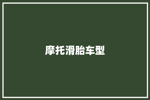 摩托滑胎车型