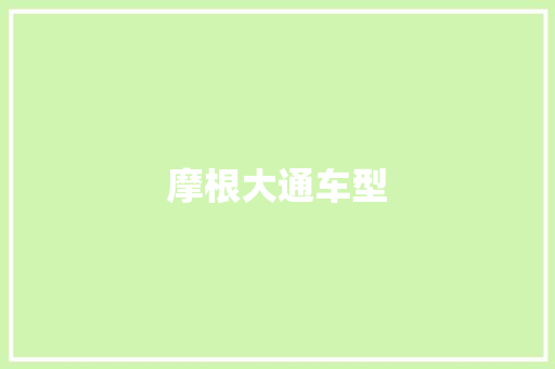 摩根大通车型