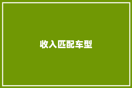 收入匹配车型