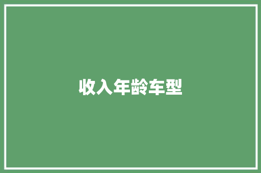 收入年龄车型