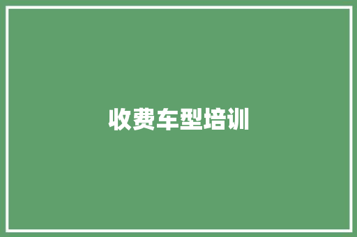 收费车型培训