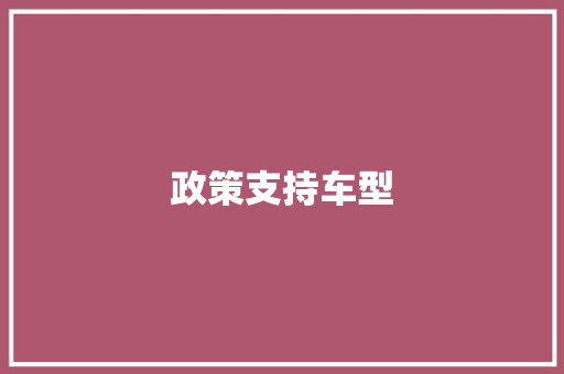 政策支持车型