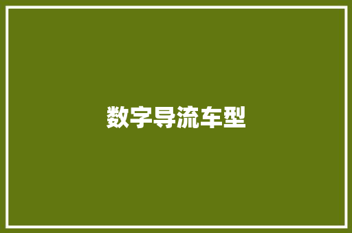 数字导流车型