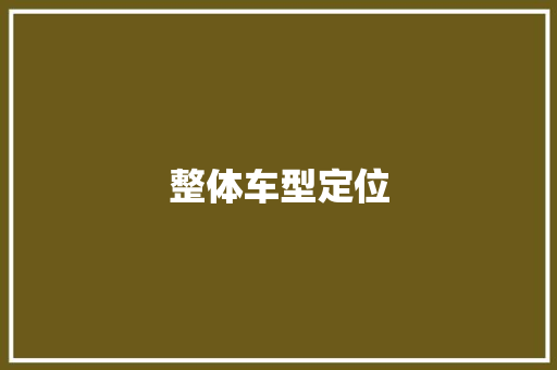 整体车型定位