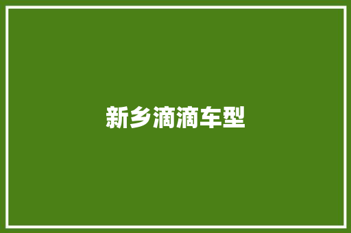 新乡滴滴车型
