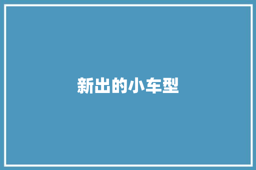 新出的小车型