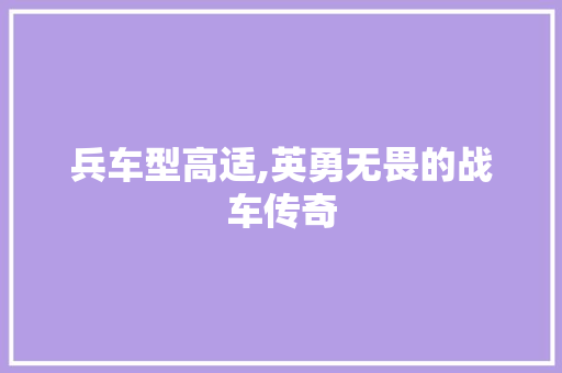 兵车型高适,英勇无畏的战车传奇