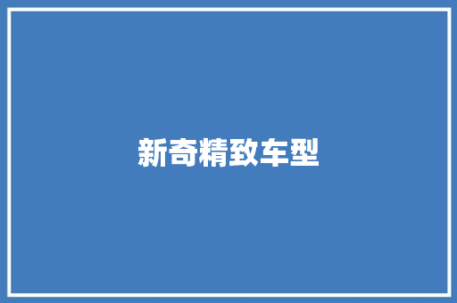 新奇精致车型