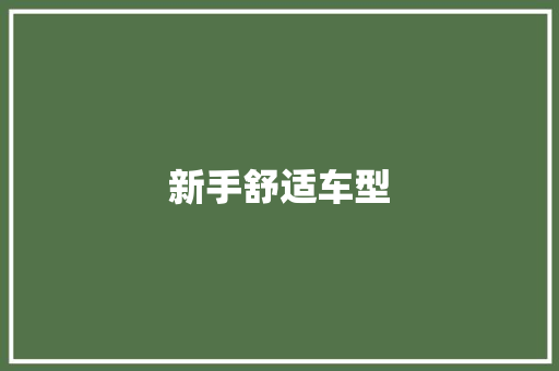 新手舒适车型