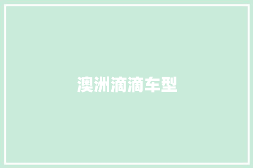 澳洲滴滴车型