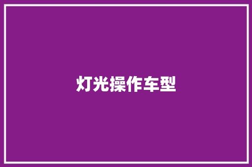 灯光操作车型