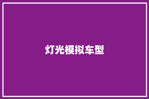 灯光模拟车型