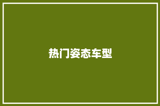 热门姿态车型