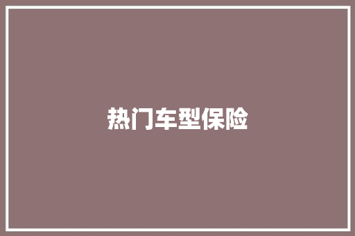 热门车型保险