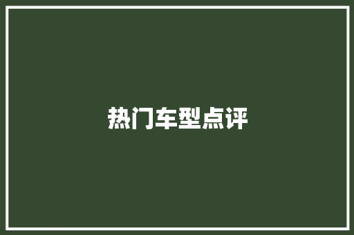 热门车型点评