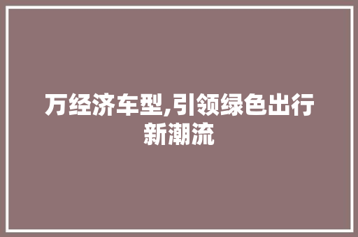 万经济车型,引领绿色出行新潮流 变速箱配件