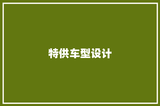 特供车型设计