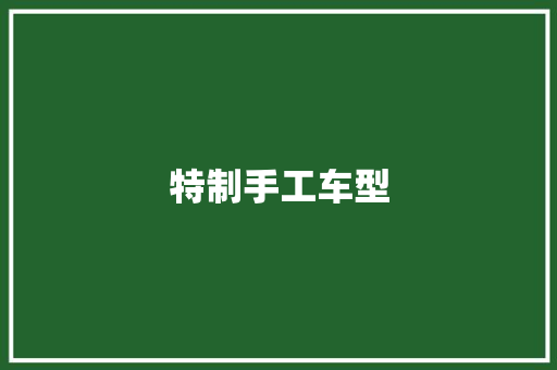 特制手工车型