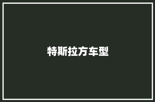特斯拉方车型