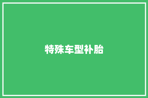 特殊车型补胎