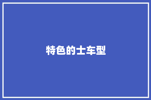 特色的士车型