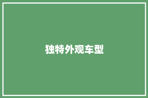 独特外观车型