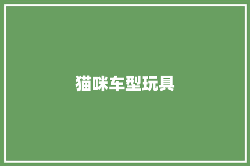 猫咪车型玩具