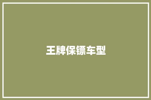 王牌保镖车型