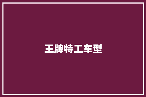 王牌特工车型