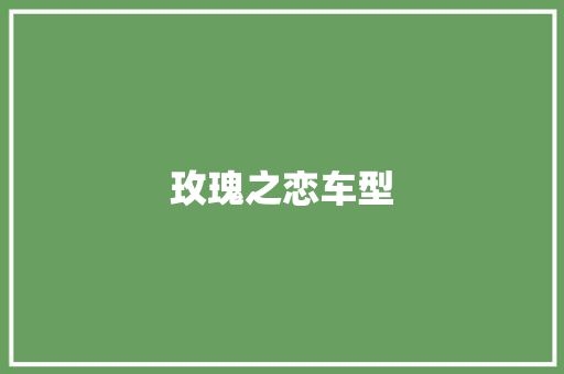 玫瑰之恋车型