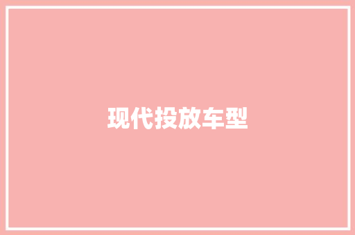 现代投放车型