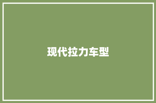 现代拉力车型
