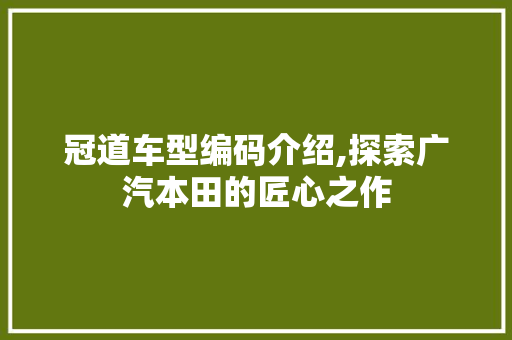 冠道车型编码介绍,探索广汽本田的匠心之作