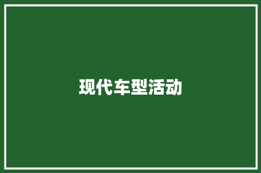 现代车型活动