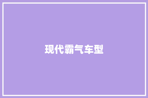 现代霸气车型