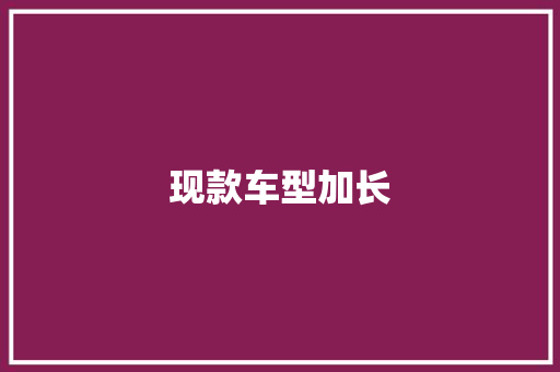 现款车型加长