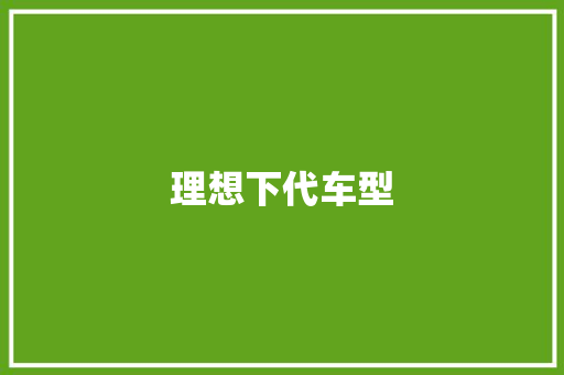 理想下代车型