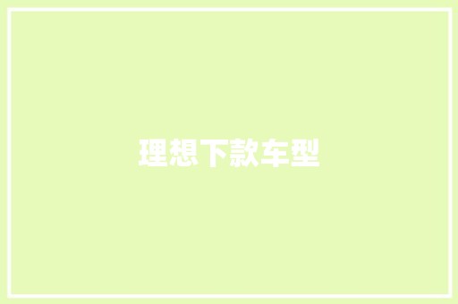 理想下款车型