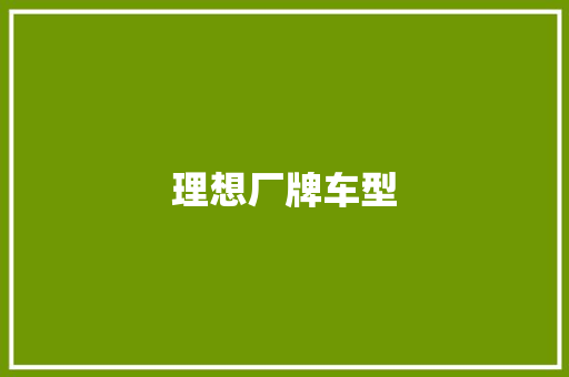 理想厂牌车型