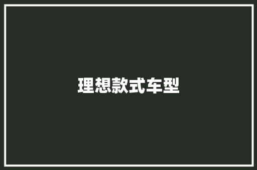理想款式车型