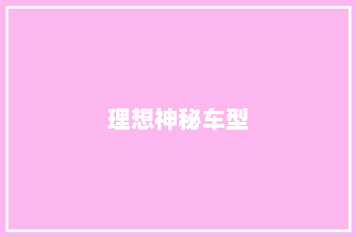 理想神秘车型