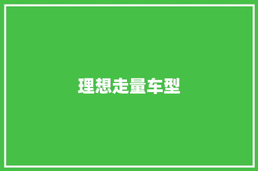 理想走量车型