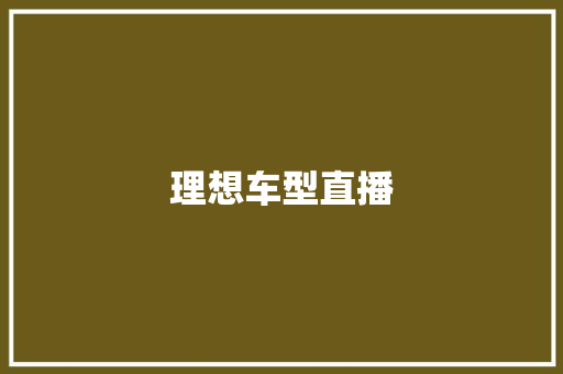 理想车型直播