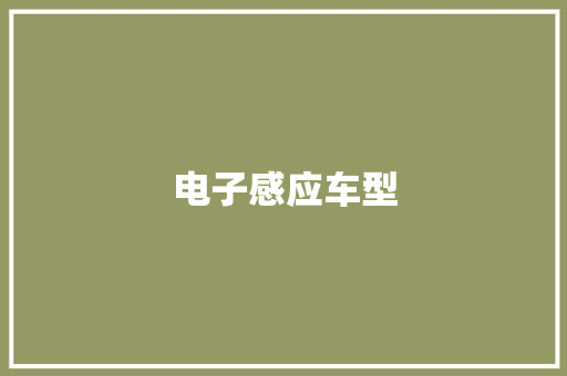 电子感应车型