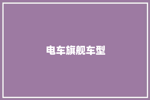电车旗舰车型