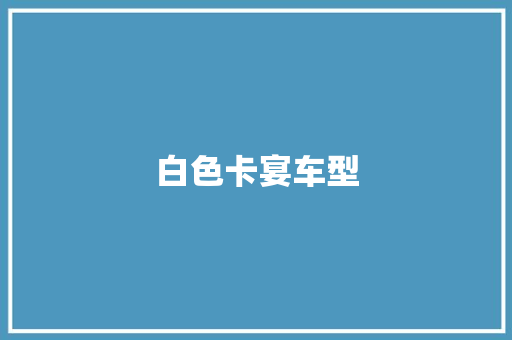 白色卡宴车型