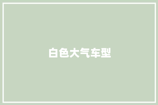白色大气车型