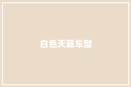 白色天籁车型